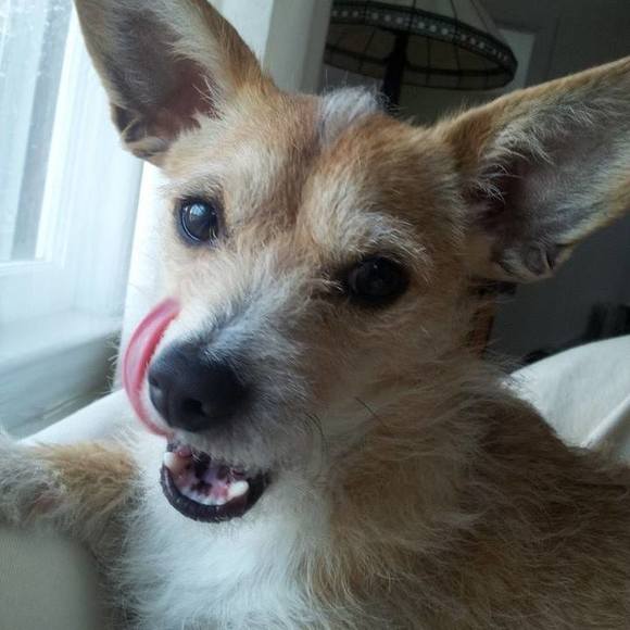 pippaeverly